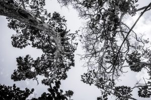 October 2025, In Photos