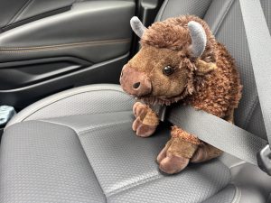 I beat the shit out of things today