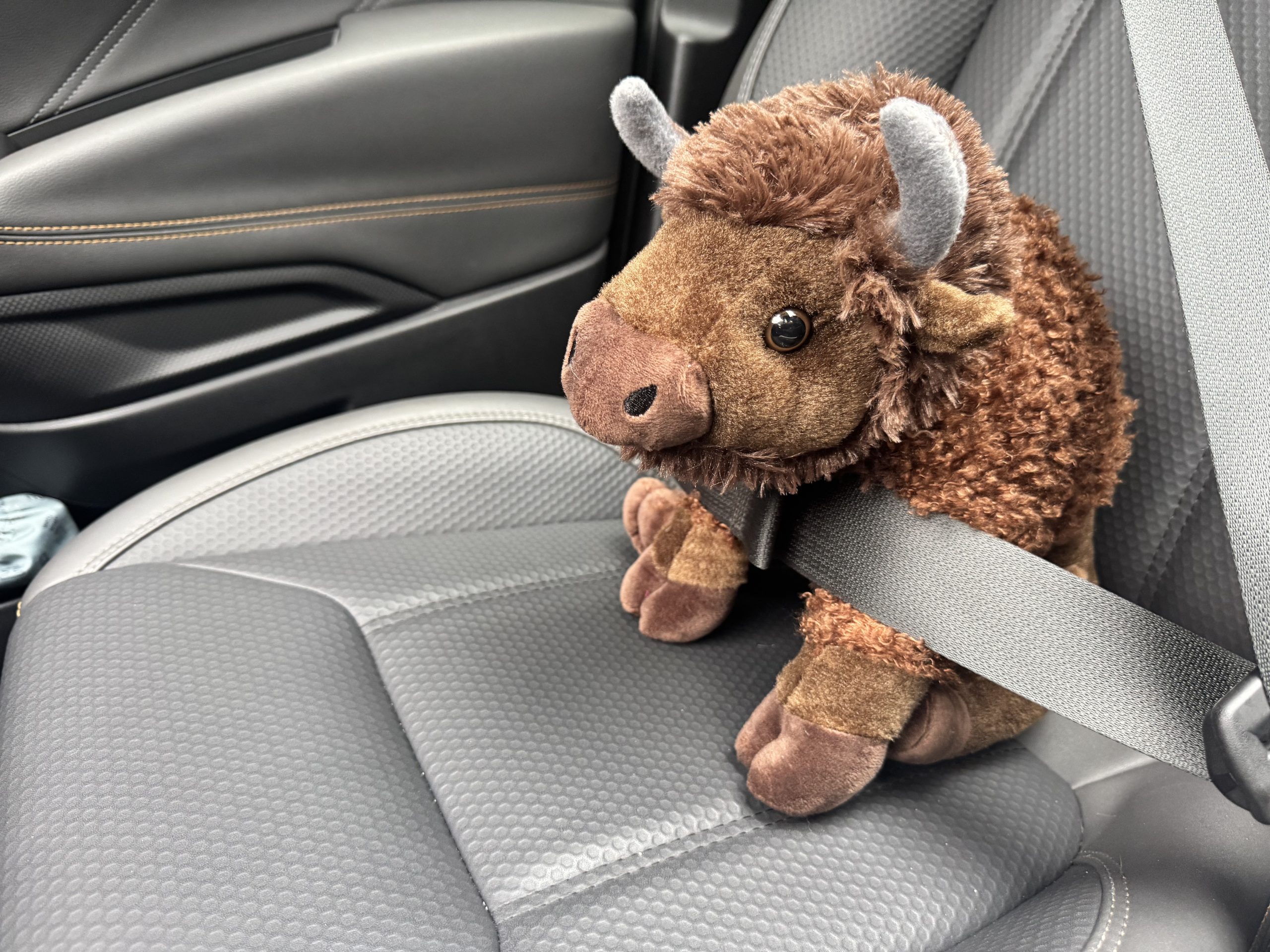 I beat the shit out of things today