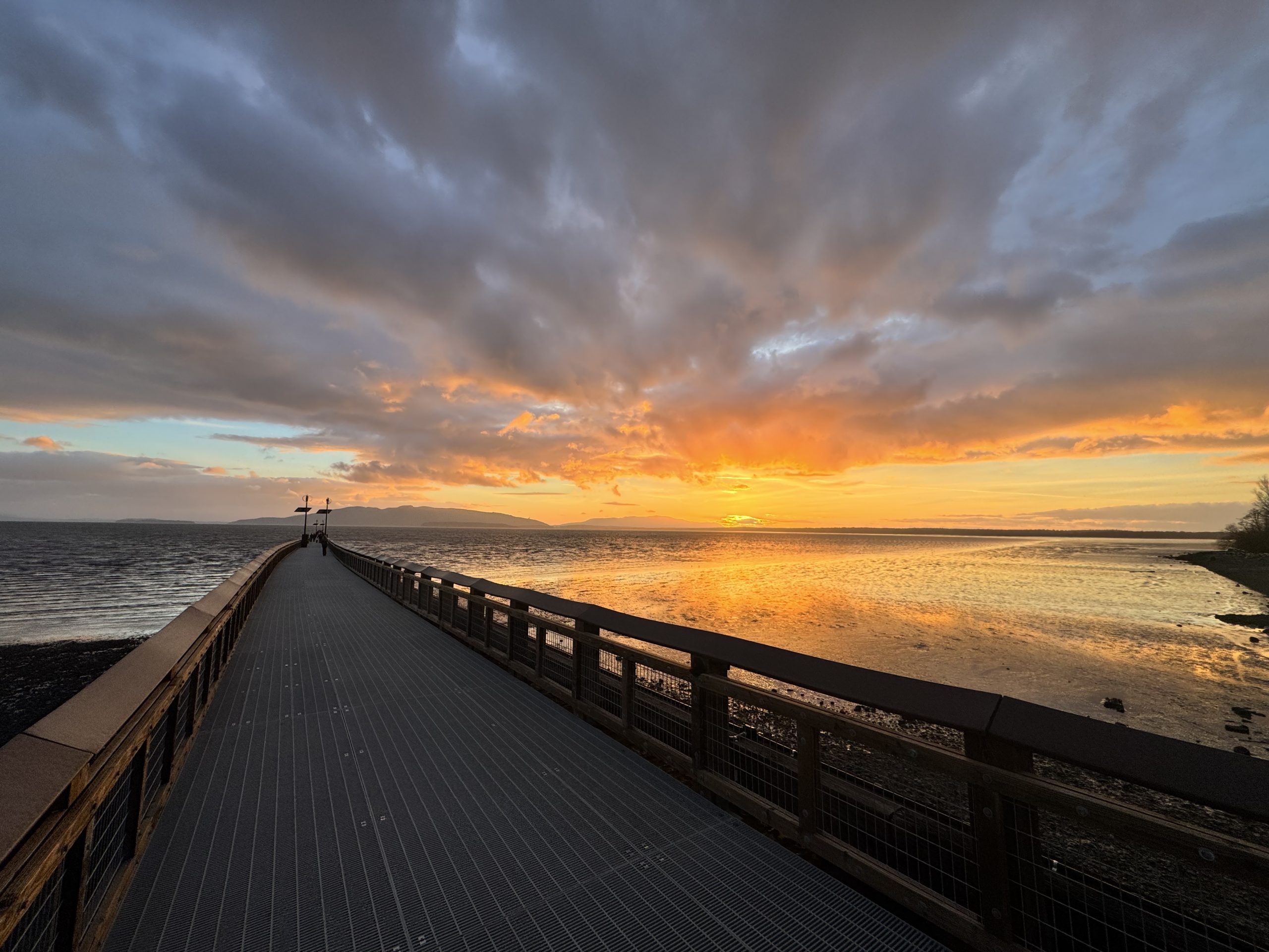 Love Over Patterns: Gratitude Didn’t Save Me. Integrity Did.