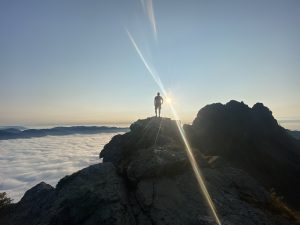 The Cockroach Doctrine