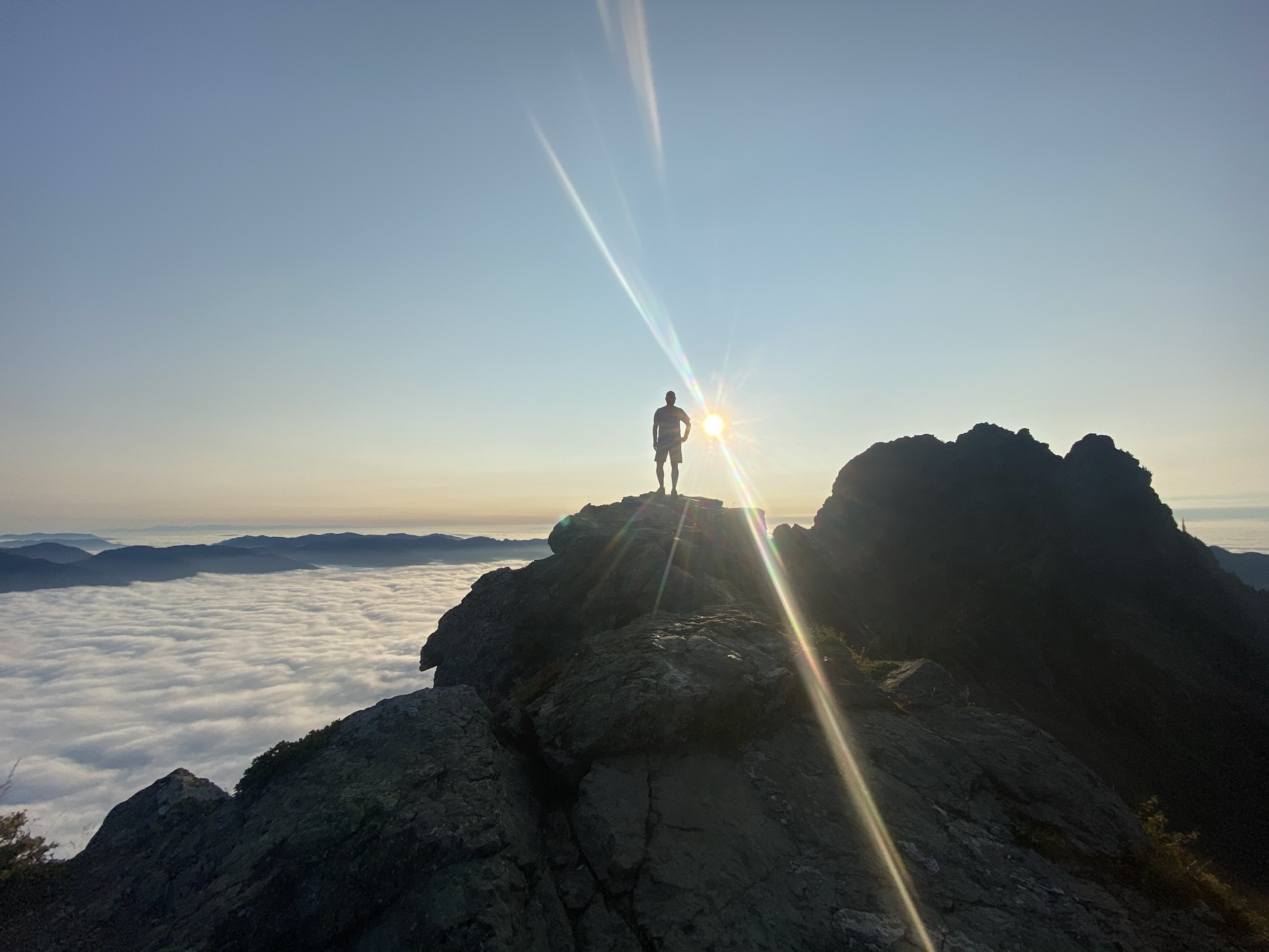 The Cockroach Doctrine