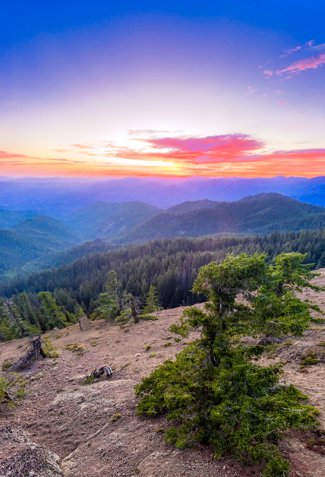 Ever feel hijacked by your emotions?