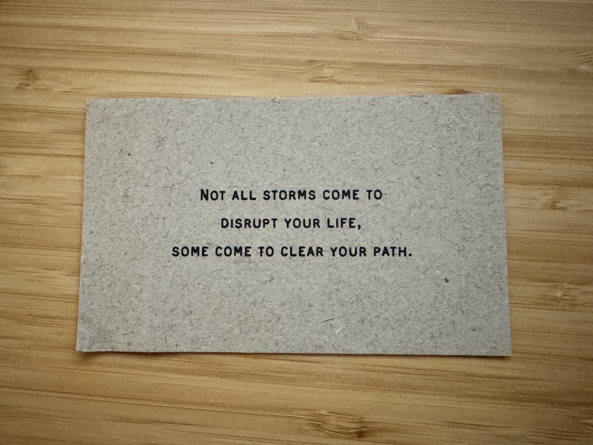 November 2025, In Photos