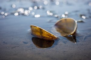 From Fragmented to Whole: My Recovery Journey Since 2007