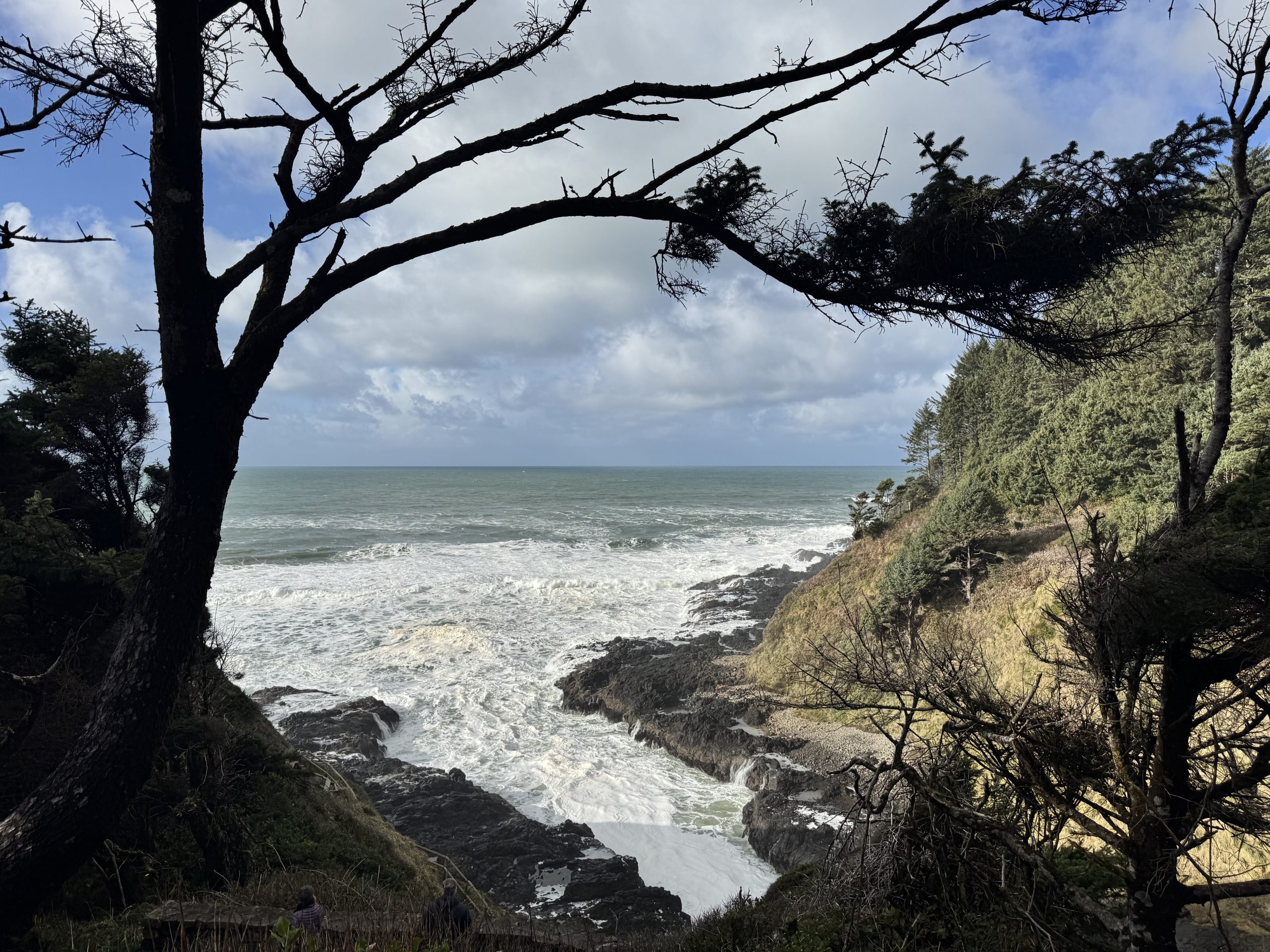 A day of anxiety waves and cravings