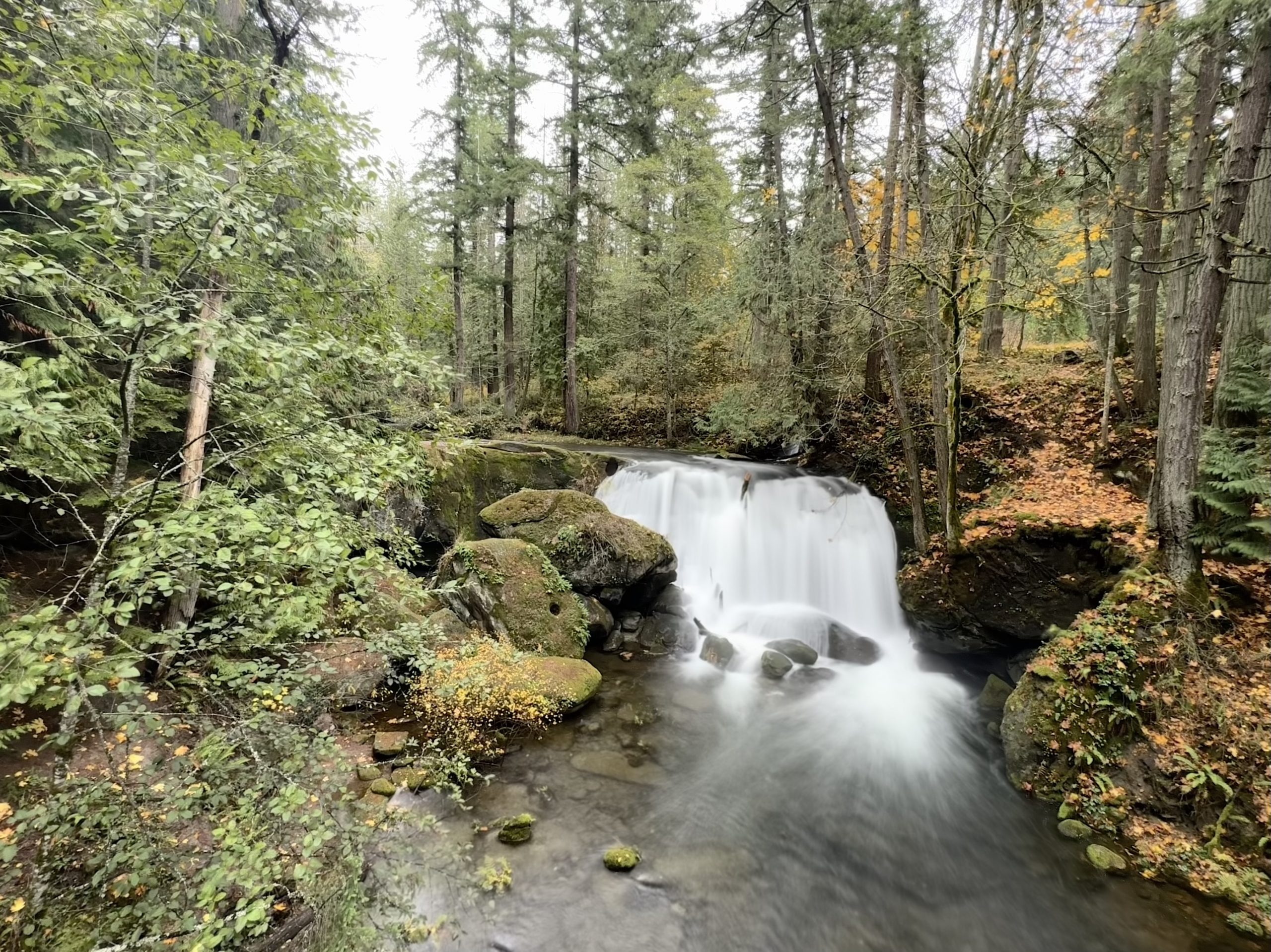 Been a tad bumpy. You aren’t alone.