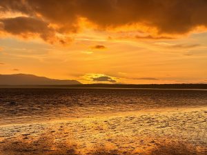 You Label Me While I Am Doing The Work.