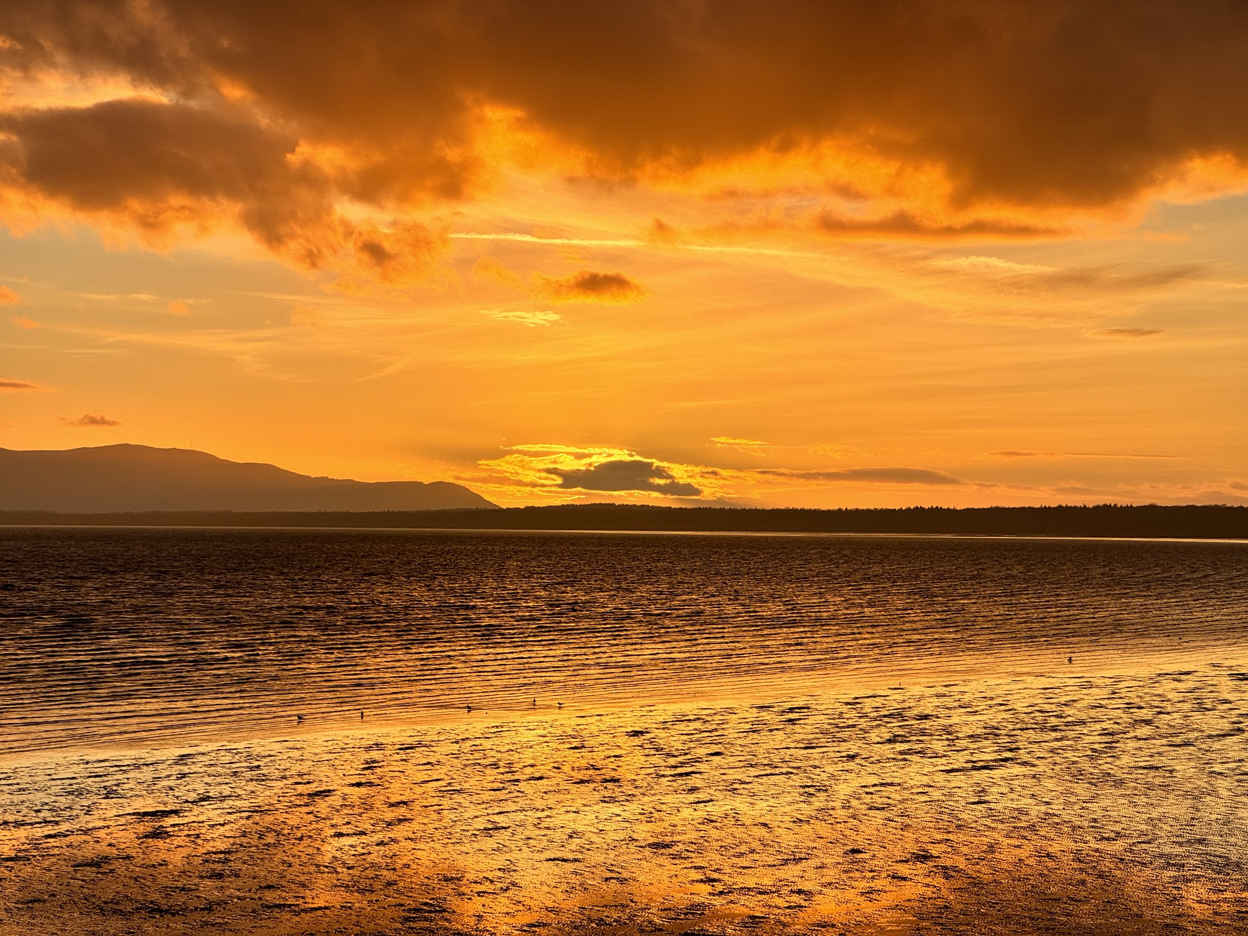 You Label Me While I Am Doing The Work.