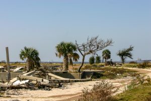 You Can Stop Watching. I Am Fine, Free, and Done Looking Back.