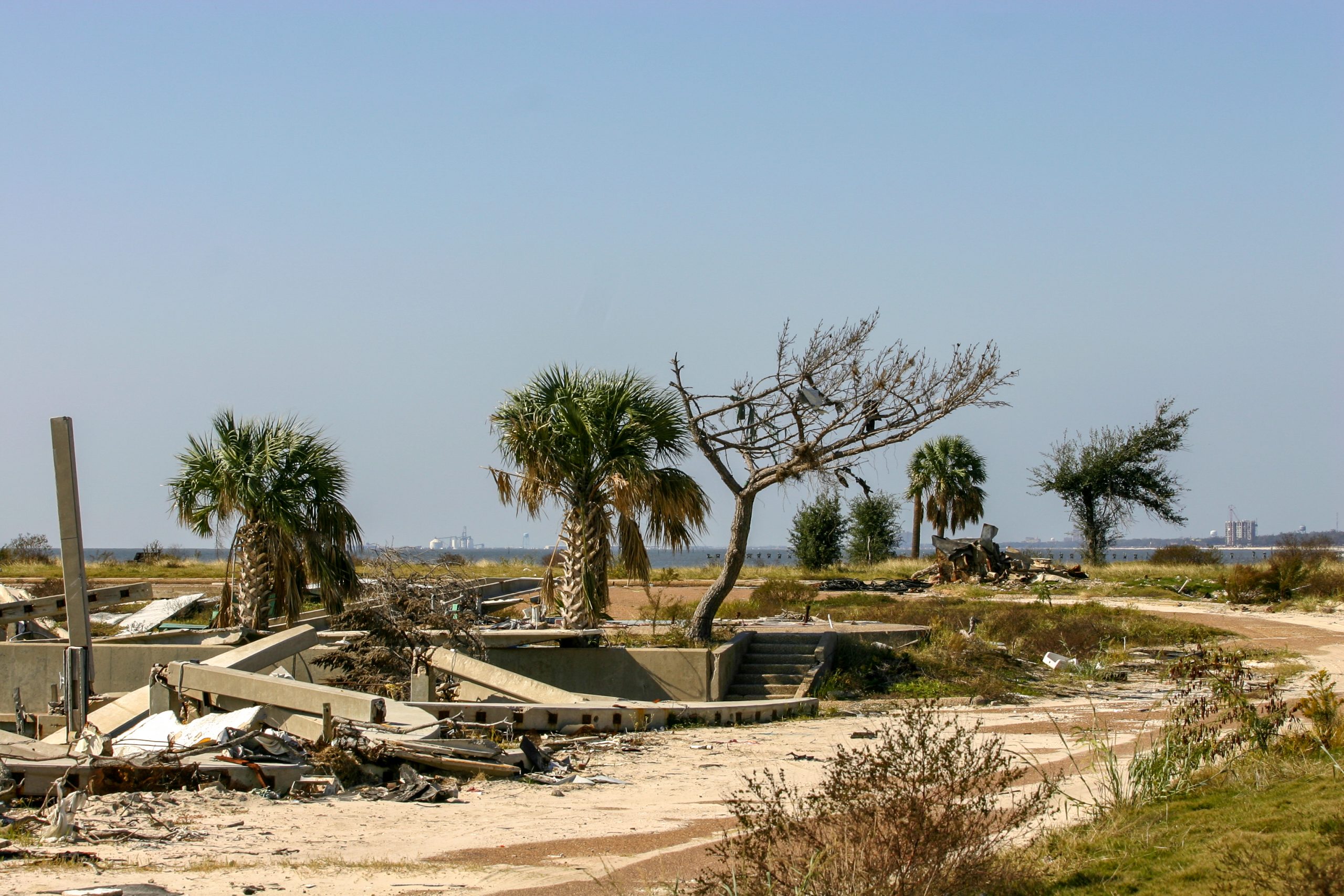 You Can Stop Watching. I Am Fine, Free, and Done Looking Back.